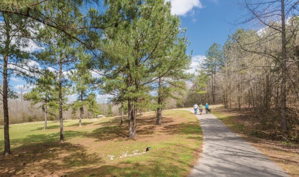 The Making of a Greenway